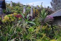 Minack Theatre in Porthcurno