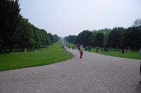 Windsor - The long walk