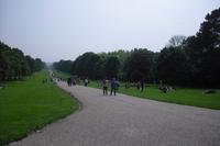 Windsor - The long walk