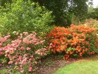 Lanhydrock House and Gardens