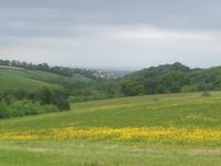 The Lost Gardens of Heligan