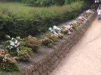 The Lost Gardens of Heligan