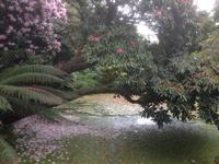 The Lost Gardens of Heligan