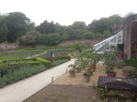 The Lost Gardens of Heligan