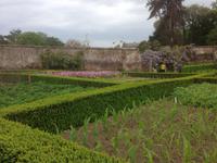 The Lost Gardens of Heligan