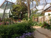 Eden Project
