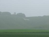 White Horse of Cherhill