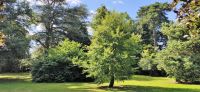 120 Arley Arboratum & Gardens