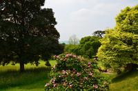 113 Knightshayes Court