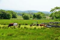 184 Welsh Highland Railway