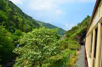 191 Welsh Highland Railway