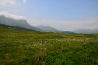 197 Welsh Highland Railway
