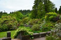 357 Skye, Armadale Castle & Garden