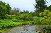361 Skye, Armadale Castle & Garden