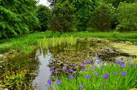 363 Skye, Armadale Castle & Garden