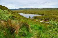 365 Skye, Hochmoor vor den Red Cullin Hills