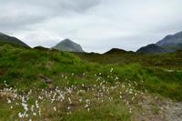 380 Skye, Sligachan Bridge  und die Cullin Hills