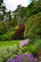 473 Inverewe Garden & Estate