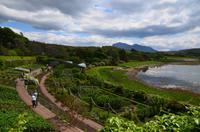 474 Inverewe Garden & Estate