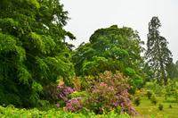 507 Alnwick Castle Garden