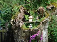 Stillleben in Postbridge