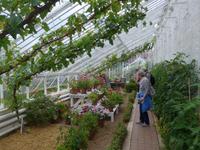 Garten von Arundel Castle