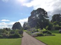 Garten  Killerton House 