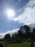 Garten  Killerton House 