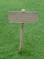 Glastonbury Abbey - vermutete Grabstelle von König Arthus