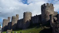 Das Schloss in Conwy 