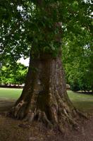 078 Stratford upon Avon