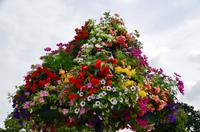 080 Stratford upon Avon