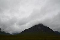 241 Highlands, Hirte