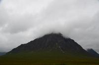 242 Highlands, Hirte