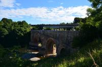 306 Borderland. Leatherbridge