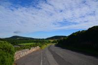 311 Borderland. Scotts View