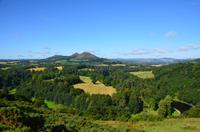 312 Borderland. Scotts View