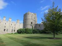 Windsor