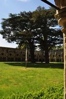 Salisbury Cathedral