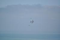 Wir werden kostenlose Zuschauer einer Flug-Show - die seit 1993 stattfindende Airbourne in Eastbourne