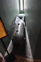 Deutsche Fliegerbombe in Arundel Castle