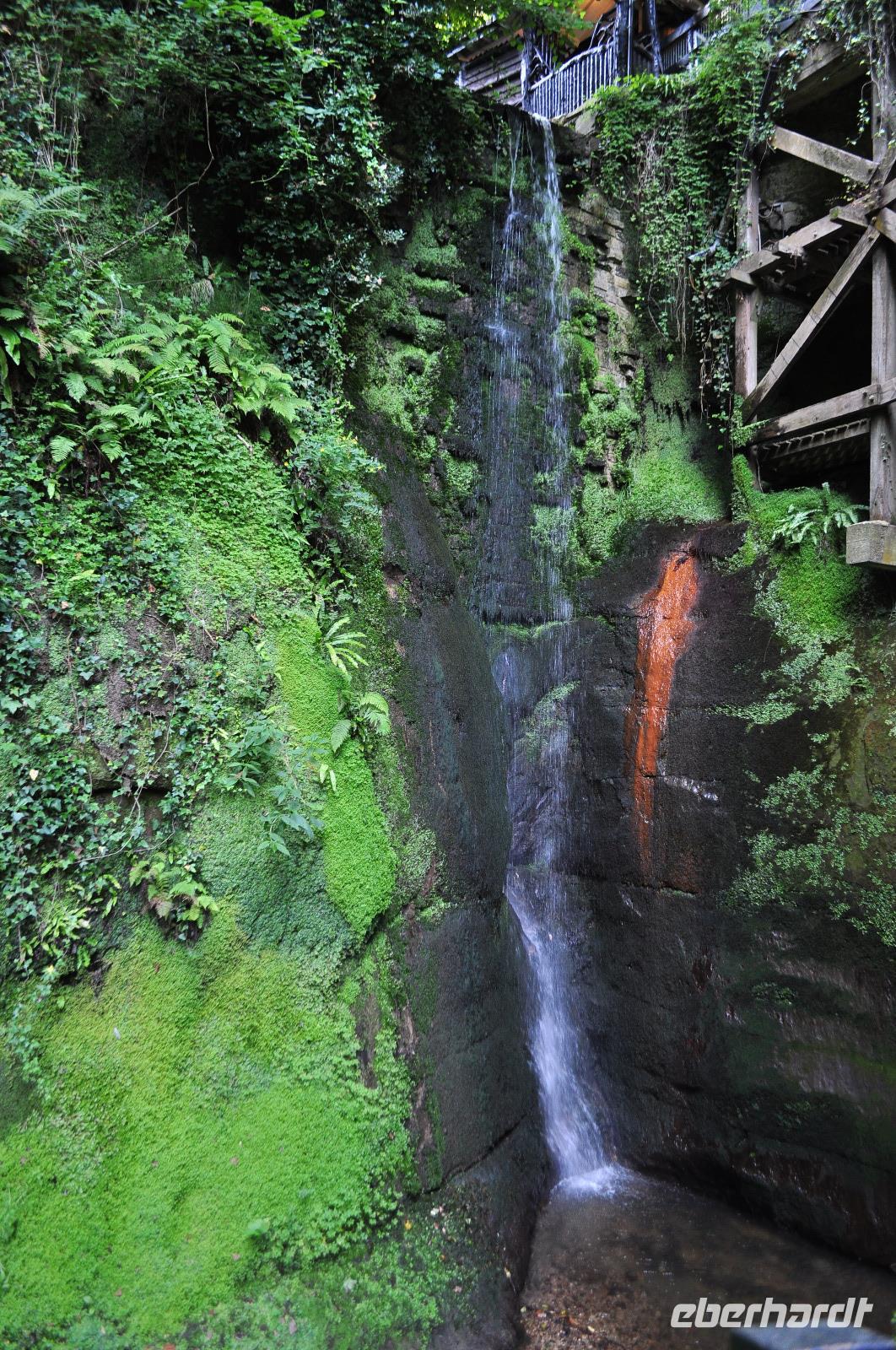 Shanklin Chine - Eine unerwartet auftretende wilde Schlucht mit tropischer Vegetation