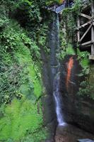 Shanklin Chine - Eine unerwartet auftretende wilde Schlucht mit tropischer Vegetation