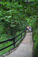 Shanklin Chine - Eine unerwartet auftretende wilde Schlucht mit tropischer Vegetation