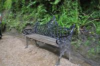 Shanklin Chine - Eine unerwartet auftretende wilde Schlucht mit tropischer Vegetation