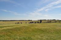 UNESCO Weltkulturerbe und English Heritage Stonehenge