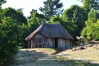 Killerton House - Bear's hut