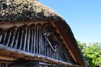 Killerton House - Bear's hut