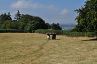 Dartmoor - Spinster's Rock