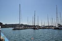 Über den Tamar River geht es von Plymouth in Devon nach Mt. Edgcumbe in Cornwall